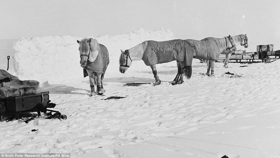 Ponies on the Trail, Stop-over